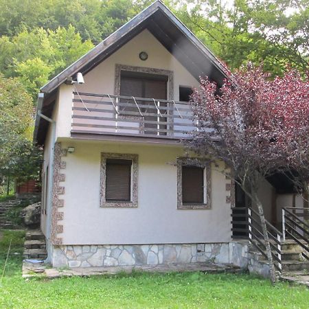 Biocinovici Vikendica Villa Kolasin Exterior photo